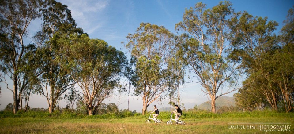 Vicky & Vincent_排版12