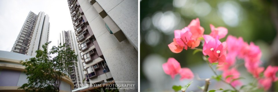 Karen & Daniel排版4