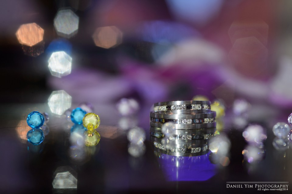 belle & elvis@blog20