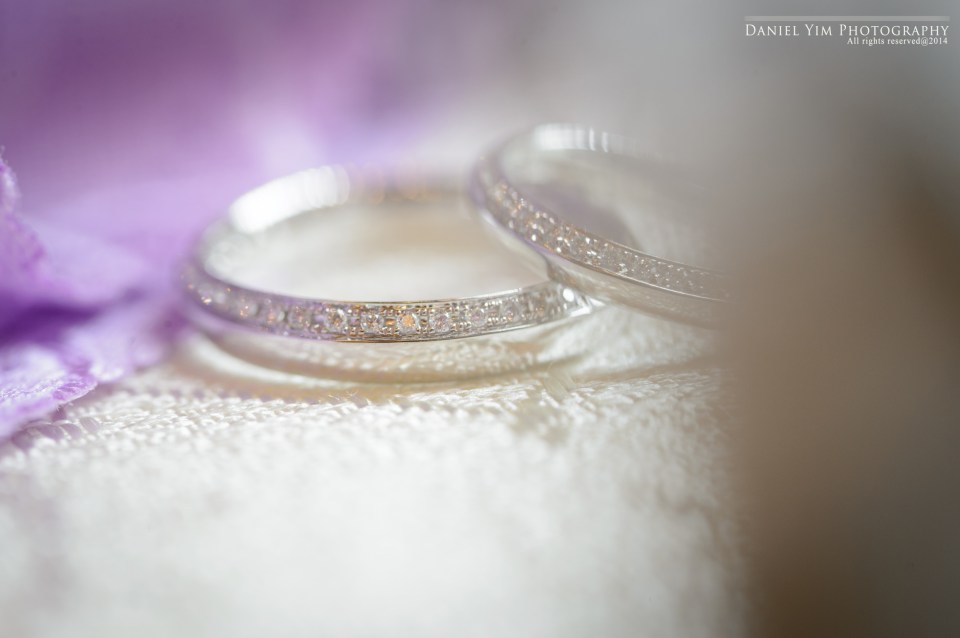 Niko & Howard@blog25