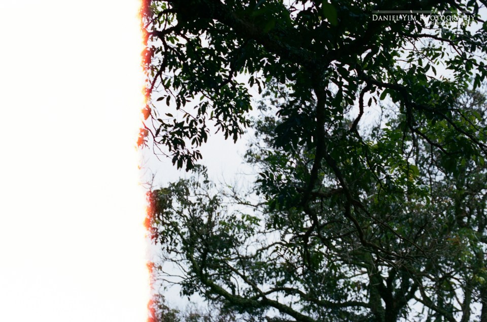 Gloria & Andy_排版0