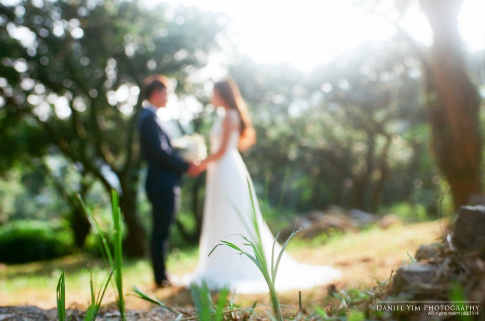 loris-zombie%e6%8e%92%e7%89%888