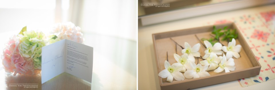 _dsc7922%e6%8b%b7%e8%b2%9d